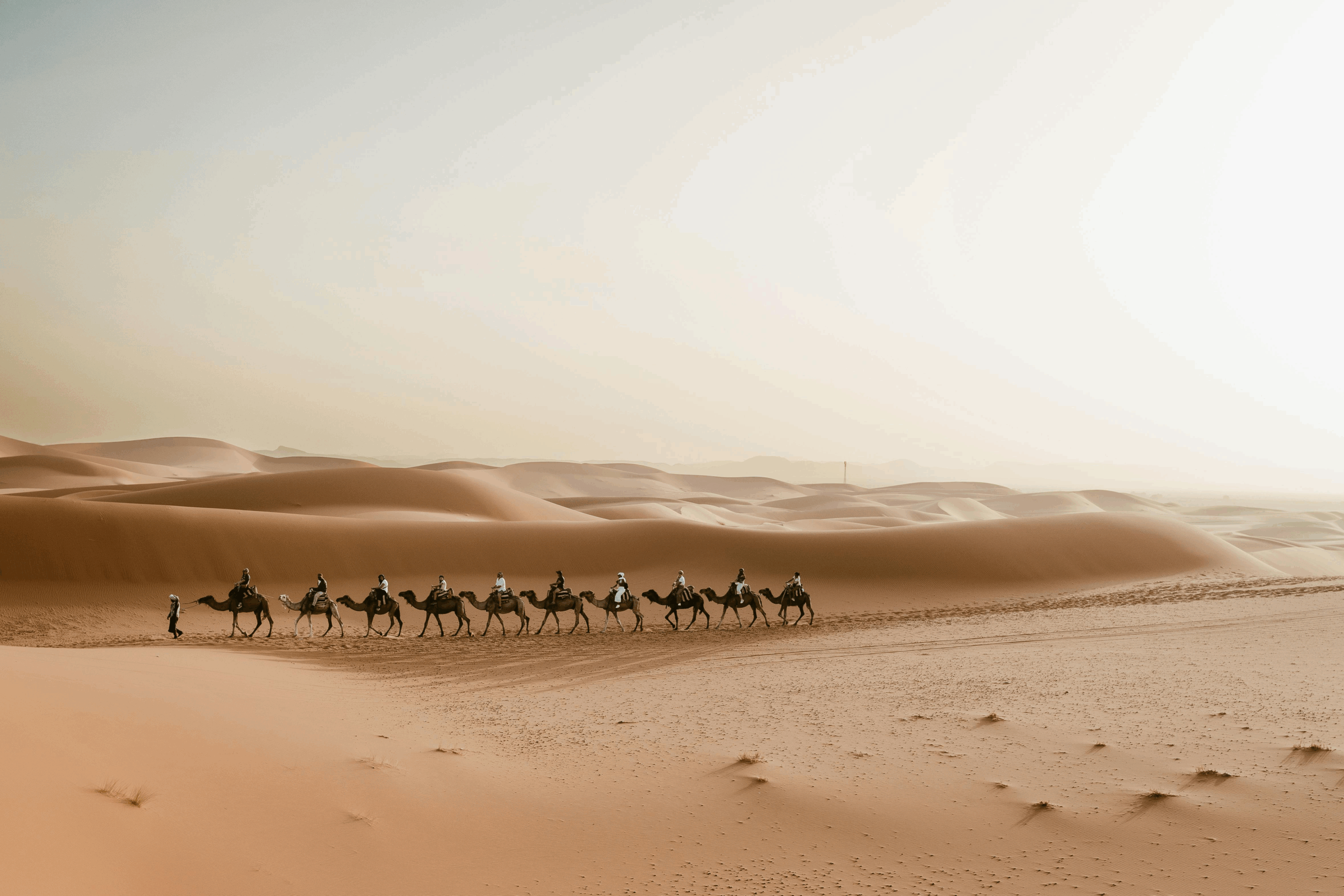 Formation Langue Arabe CPF